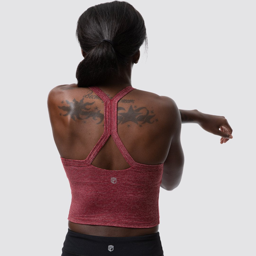Your New Favorite Sports Bra (Heather Wine)