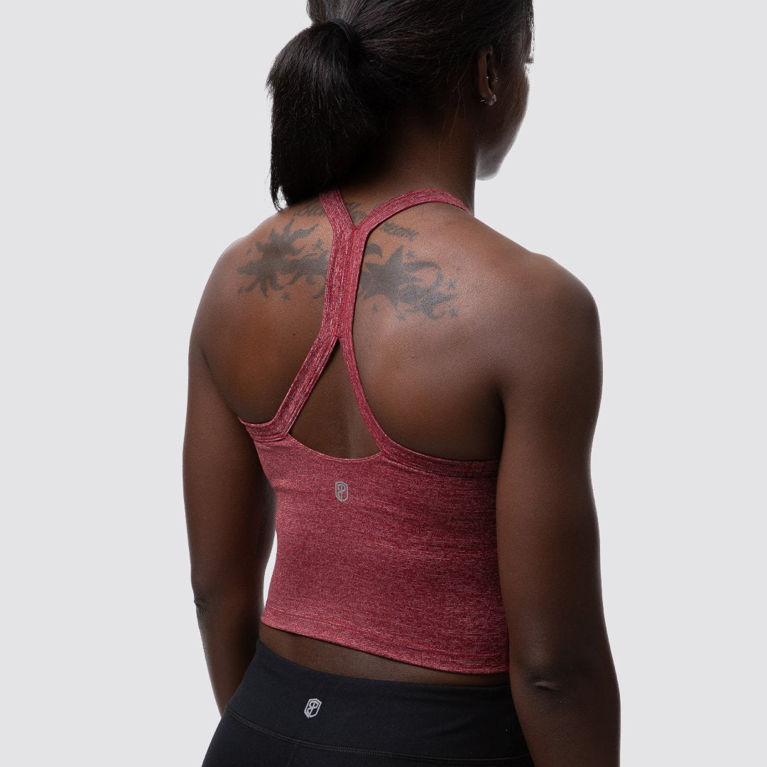 Your New Favorite Sports Bra (Heather Wine)